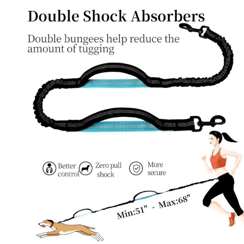 Hands Free Dog Leash with Zipper Pouch, Dual Padded Handles & Durable Bungee Dog Leash for Walking, Jogging, Running and Hiking - BeesActive Australia
