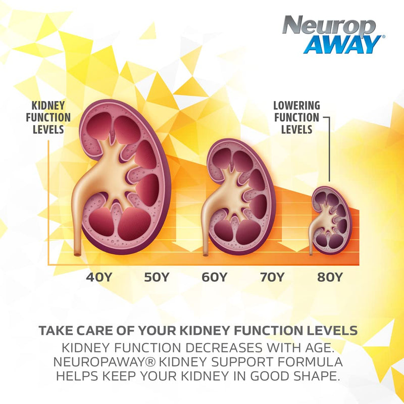 NeuropAWAY Kidney Support Formula Sugar Free with Agmatine Sulfate 500mg L-Novaline 50mg L-Ornithine 150mg L-Citrulline 100mg Per Capsule 90CT Fast Acting Kidney Support 90 Count (Pack of 1)