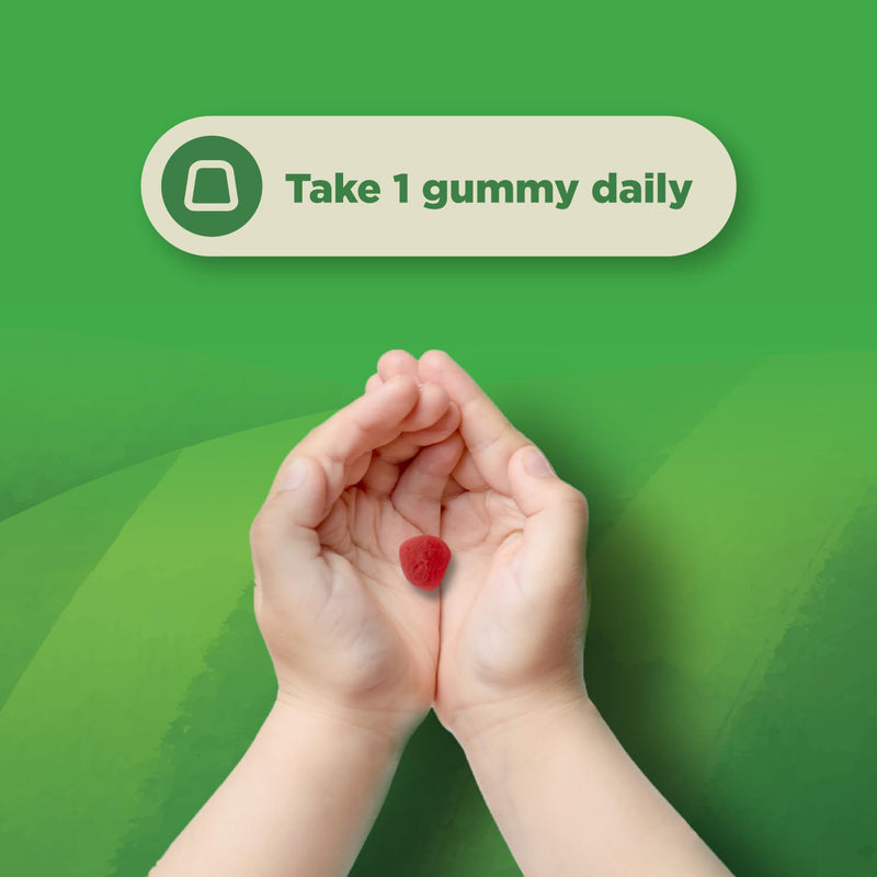 USDA Organic Kids Probiotic Gummies - Gut Bacteria Probiotics for Digestive Health & Stomach Relief - Gentle 2.5B CFU Kids Immune Support & Gut Heath Supplement - Vegan & Non-GMO Chews - 60 Count 60 Count (Pack of 1)