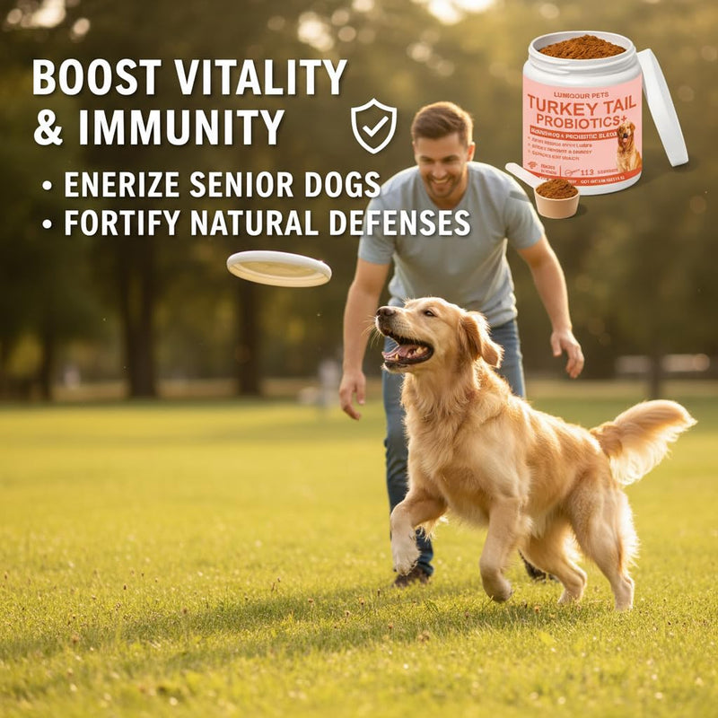 Lumiqour Turkey Tail for Dogs – Turkey Tail Mushroom for Dogs, Mushroom Supplement Powder, Support Your Mature Dog’s Immunity, Gut, Skin & Coat - 113 Scoops