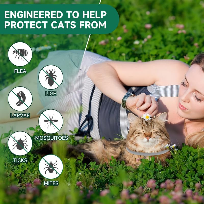 4 Pack Flea Collar for Cats, Adjustable Flea and Tick Collar for Cats, 8 Months Protection Cat Flea and Tick Treatment Collar, Flea and Tick Prevention for Cats, Waterproof Cat Flea Collar 4 Pack Grey - BeesActive Australia