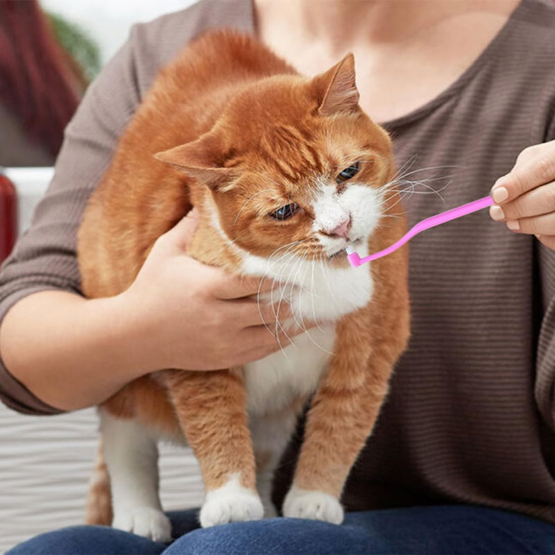JEYORZY Pack of 3 cat toothbrushes, dog toothbrush, dental care for cats, double-sided cat tooth cleaning brush with microbrush head and curved handle, deep cleaning for cat dental care accessories - BeesActive Australia