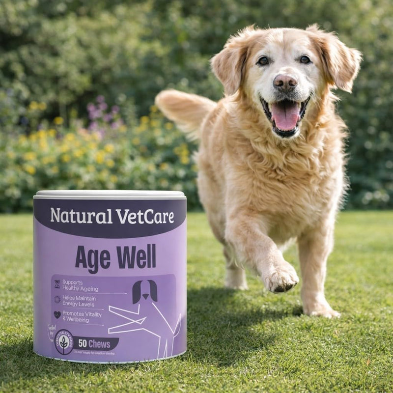 Natural VetCare AGE WELL Soft Chews for Dogs 225g – Supports Healthy Ageing at Cellular Level, Promotes Mobility, Mood & Overall Wellness – Easy Daily No-Mess Supplement