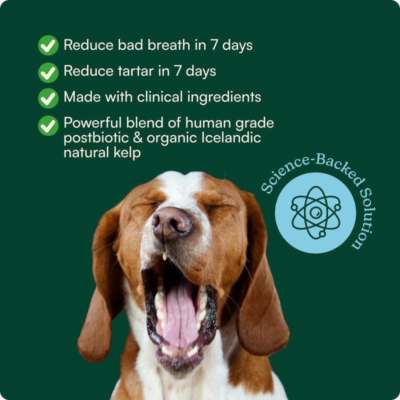 Reggie Bright Bite Dog Dental Powder for Fresh Breath, Healthy Teeth & Gums, 7-Day Results, Postbiotic Formula with Organic Kelp, Natural Dental Care, Vet-Approved, Made in USA, 60 Servings