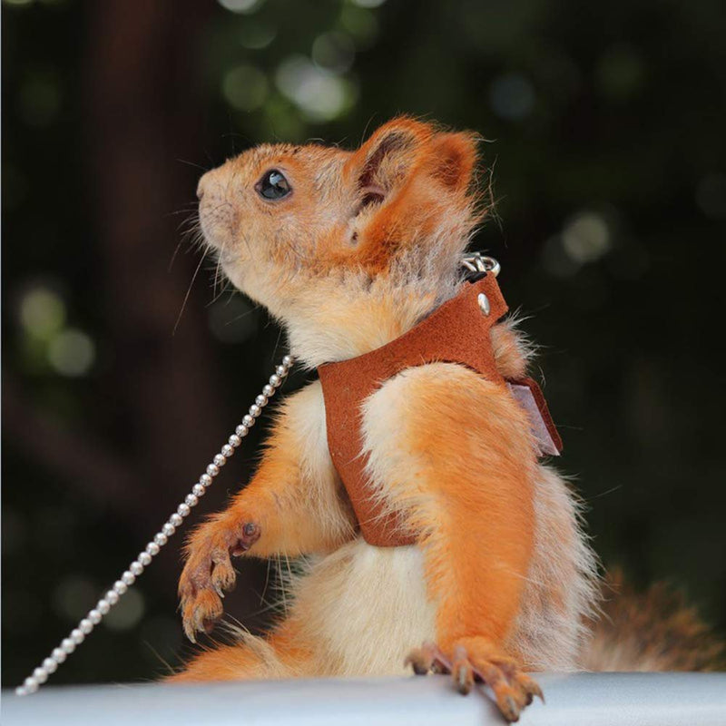Squirrel Traction Rope Strap Anti-Biting Chain Rope, Adjustable Vest, Small Animal Walking Harness with Lead Leash, Hamster Gerbil Rat Mouse Ferret Chinchilla Small Animal Walking Leash Black - BeesActive Australia