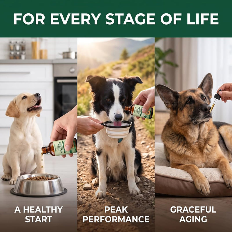 Tryclover Premium Liquid Collagen for Dogs, Hyaluronic Acid & Vitamins C for Skin Barrier, Coat & Joint Support, 60ml/2floz (1pcs) 2 Fl Oz (Pack of 1)