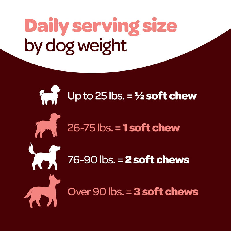Hip and Joint Chews for Dogs | Dog Glucosamine Chews for Comfort & Mobility with Chondroitin MSM & Turmeric | Dog Joint Supplement for All Ages & Sizes | NASC Certified & Made in The USA | 60 Chews Hip and Joint 60 Count