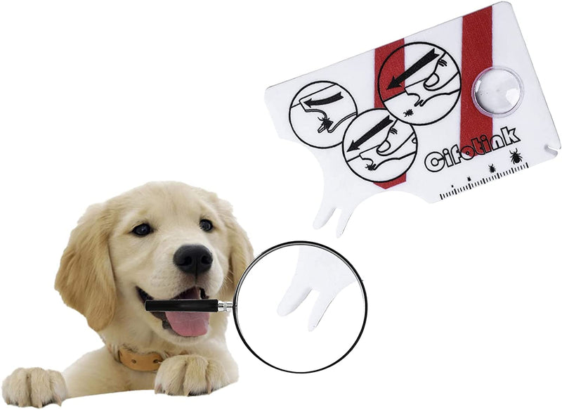 linlinfa Tick card for people - easy to carry tick scale card, tick scale card with magnifying glass, quick cleaning of ticks, tick card children, used for sports enthusiasts, travelers, - BeesActive Australia