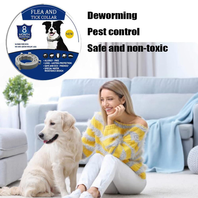 Tick collar for dogs, tick collar for cats, flea collar, adjustable tick collar for dogs and cats, up to 8 months tick protection with 100% natural ingredients - BeesActive Australia