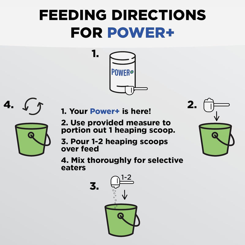 Power+ Horse Supplement (174g/0.38lbs - 30 Servings) - 9 Equine Amino Acids Plus Probiotics for Horses - No Added Sugar, No Soy, No Fillers - Horse Joint Support Supplement - BeesActive Australia