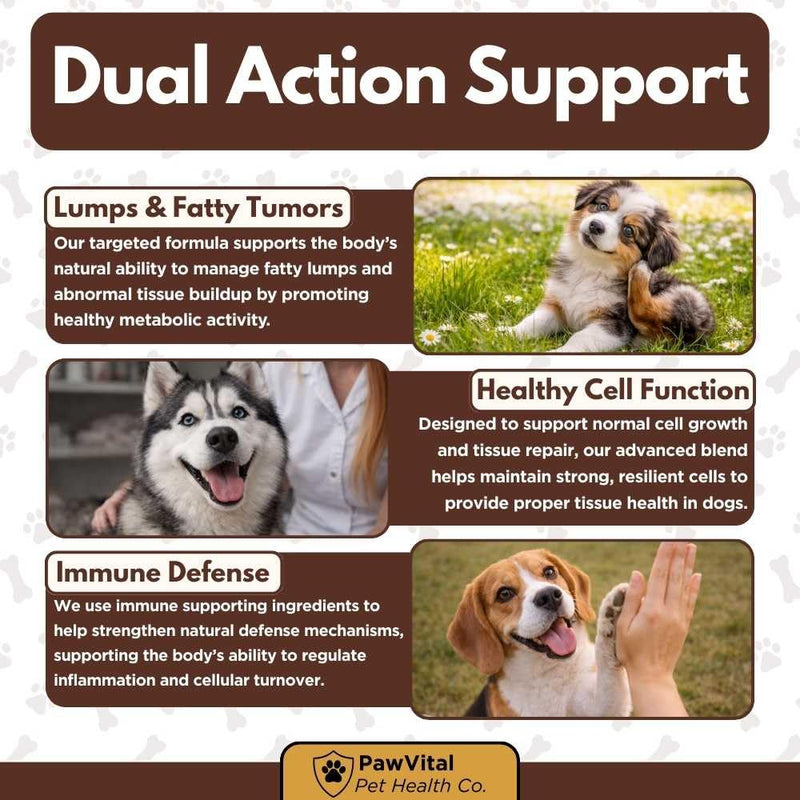 Lipoma Treatment for Dogs – Lumps & Bumps Support, Helps Reduce Fatty Tumors, Turkey Tail Mushroom Chews for Immune Health with L Carnitine, Chicken Flavor, 150 Soft Chews