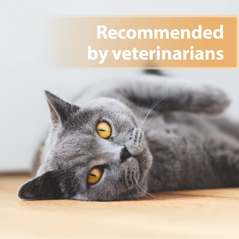Felisept Wound Gel for Cats 20ml - Cat antiseptic - Cat wound treatment - Cat antibiotics for infections - Cat Wound Ointment - Cat Wound Gel for cleaning and care of wound areas