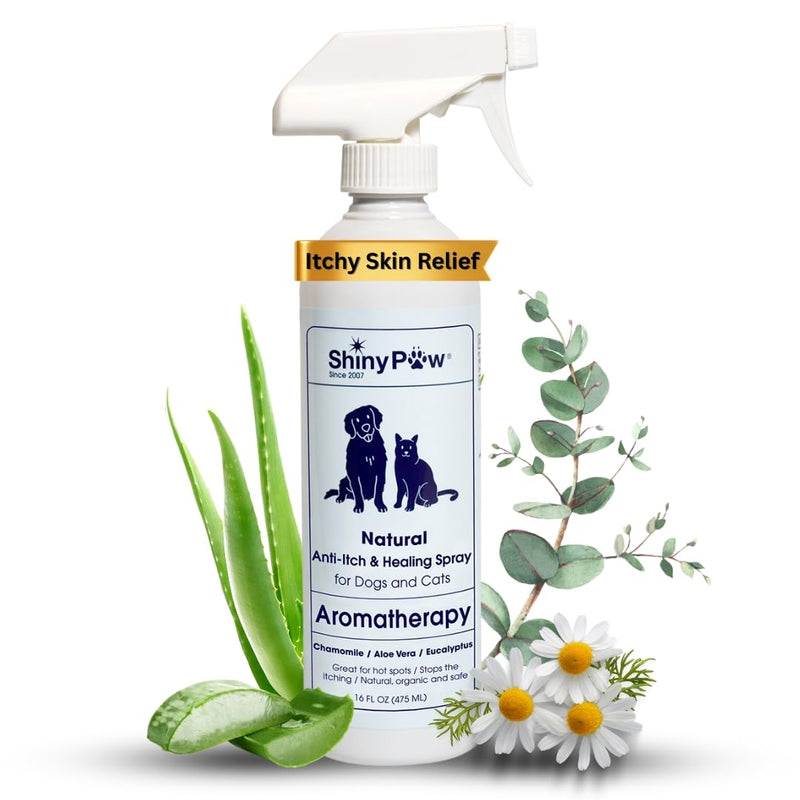 Dog Itch Relief Spray by Shiny Paw 16 oz | Aloe Vera & Eucalyptus Skin Itch Remedy | Dog Hot Spot Spray | Natural Anti Itch Spray for Pets | Dog Itchy Skin Relief | Made in USA
