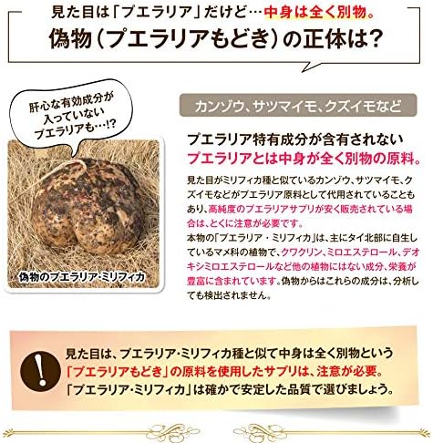 Pueraria Mirifica Glamor Episode Supplement [Glamour Episode] 30 tab 2 box set (60 days) - BeesActive Australia