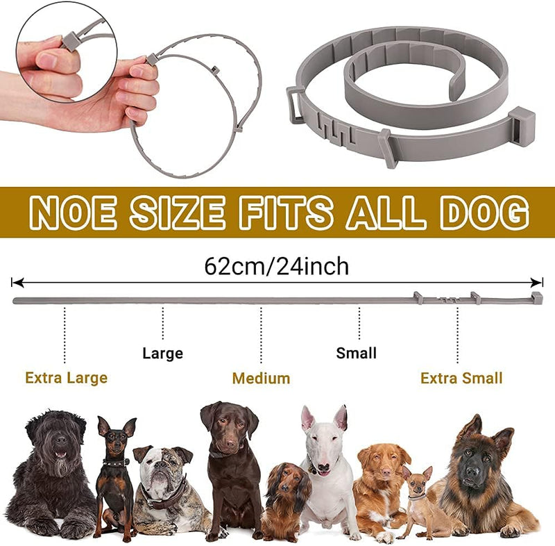 Flea Collar for Dogs 2 Pack Natural Flea and Tick Collar for Dogs 8 Month Prevention Puppys Collars 24 Inch Adjustable Large Collars - BeesActive Australia