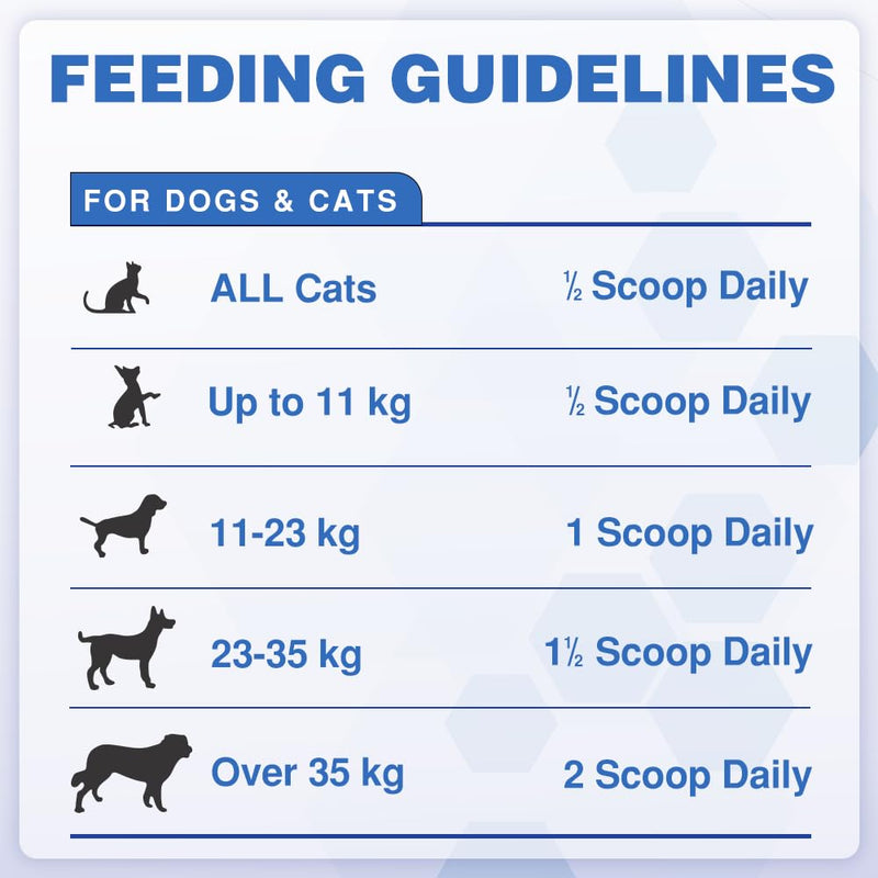 DigestiFibra Powder for Dogs & Cats – Natural Fibre Powder Supplement for Gut Health, Anal Glands & Scooting Relief – Prebiotic & Probiotic Digestive Treats – Fibre Supplement for Dogs & Cats 120g