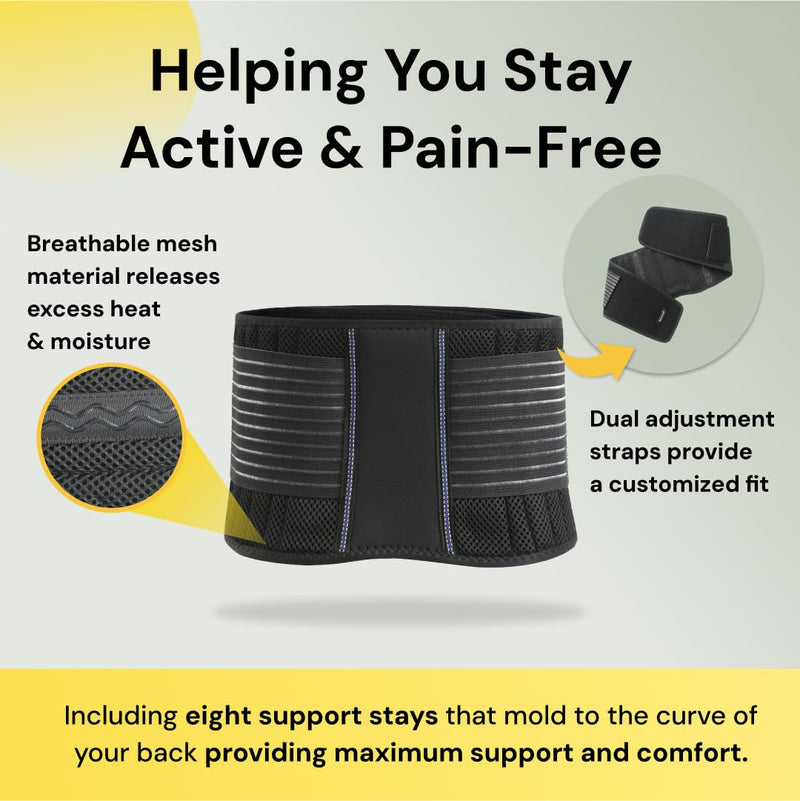BraceUP Back Brace for Men and Women Lower Back - Breathable Waist Lumbar Support Belt for Sciatica, Herniated Disc, Scoliosis Back Pain Relief, with Dual Adjustable Straps (L/XL 35-43 In) Large/X-Large (Pack of 1)