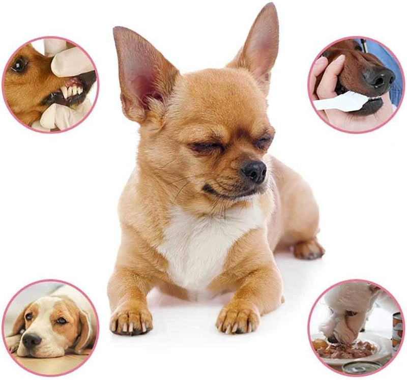 Petry Oral Spray for Dogs - Petry Teeth Cleaning Spray for Dogs and Cats, Pet Breath Freshener Spray Care Cleaner, Oral Spray for Pets, Dog Dental Spray Reduces Plaque & Tartar Buildup (2pcs) 2pcs