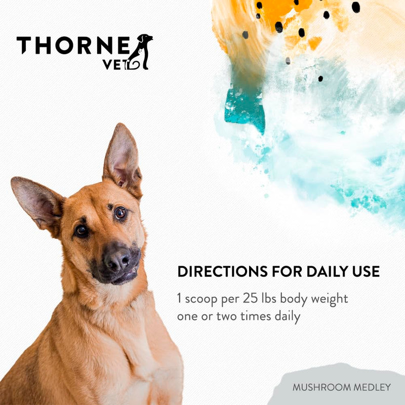 ThorneVet Mushroom Medley for Dogs - Immune System Support Plus Antioxidants - with Reishi, Turkey Tail, Cordyceps, Maitake, and Chaga Mushrooms - Support for Dogs Having Cancer Treatment - 120 Scoops - PawsPlanet Australia