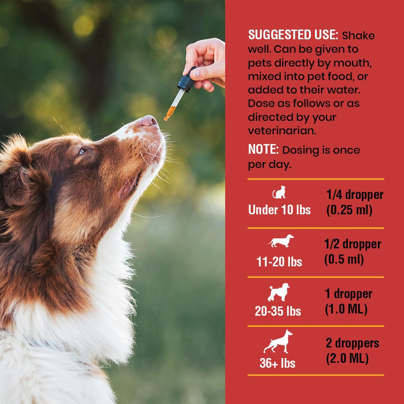 Urinary Tract Infection Treatment for Cats and Dogs - Cranberry UTI Supplement, Kidney and Bladder Support, 2 oz 2oz - BeesActive Australia