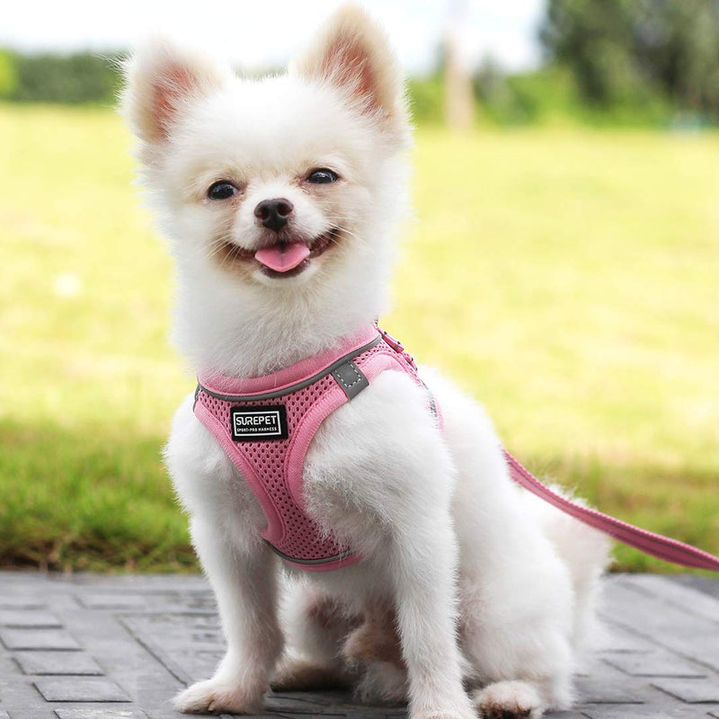 Suredoo Dog Harness with Leash Anti Pull Harness Reflective Chest Harness for Small Dogs, Pets, Puppies, Cats (Pink, XXS) Pink - BeesActive Australia