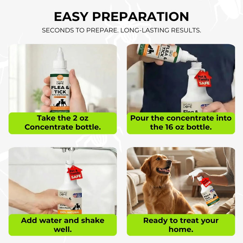 Nature’s Dome Flea & Tick Starter Kit – Makes 3 Bottles (16 oz Each) – Plant-Based, Eco-Friendly Formula – Kills & Repels Fleas, Ticks, Larvae & Eggs – Safe for Pets, Kids & Plants Citrus 16 oz (Pack of 3)
