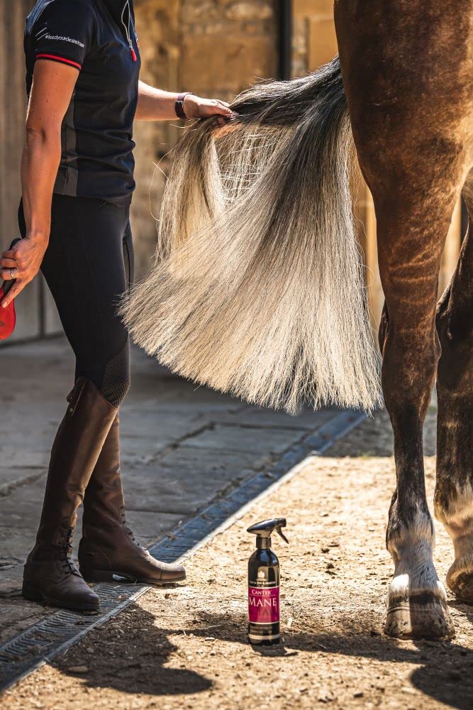 JPC Carr & Day & Martin Canter Mane and Tail Conditioner One Size - BeesActive Australia