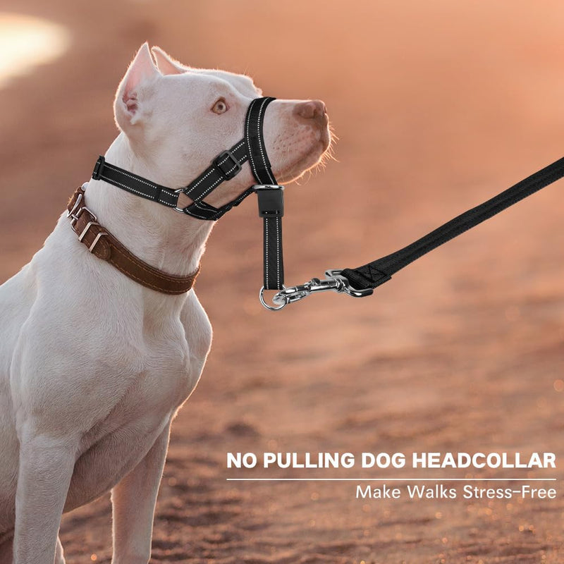 No-Pull Dog Headcollar - Reflective Head Halter Collar for Dogs, Padded Dog Head Collar to Stop Heavy Pulling, Anti-Pull Muzzle Leash (Black, Medium) Black - BeesActive Australia