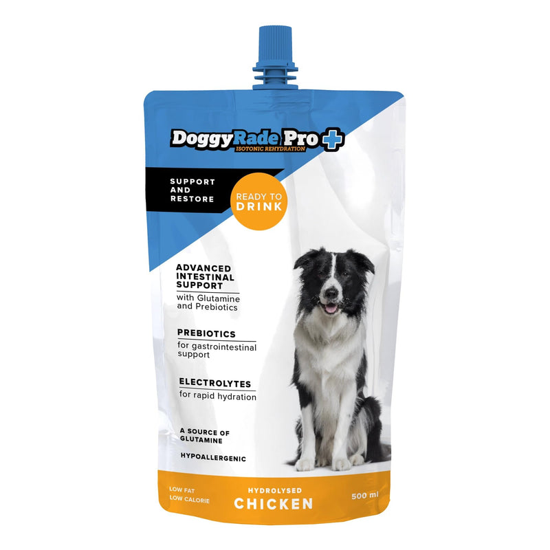 DoggyRade Pro Isotonic Drink for Dogs Recovery Rehydration & Intestinal Support 500ml