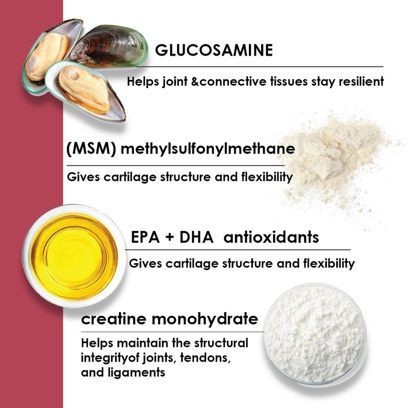 Joint MAX Joint Treats for Dogs - Glucosamine, MSM, Antioxidants, Creatine - Hip and Joint Pain Relief and Support Low Calorie Treat for Dogs - Made in USA - 60 Soft Chews - BeesActive Australia