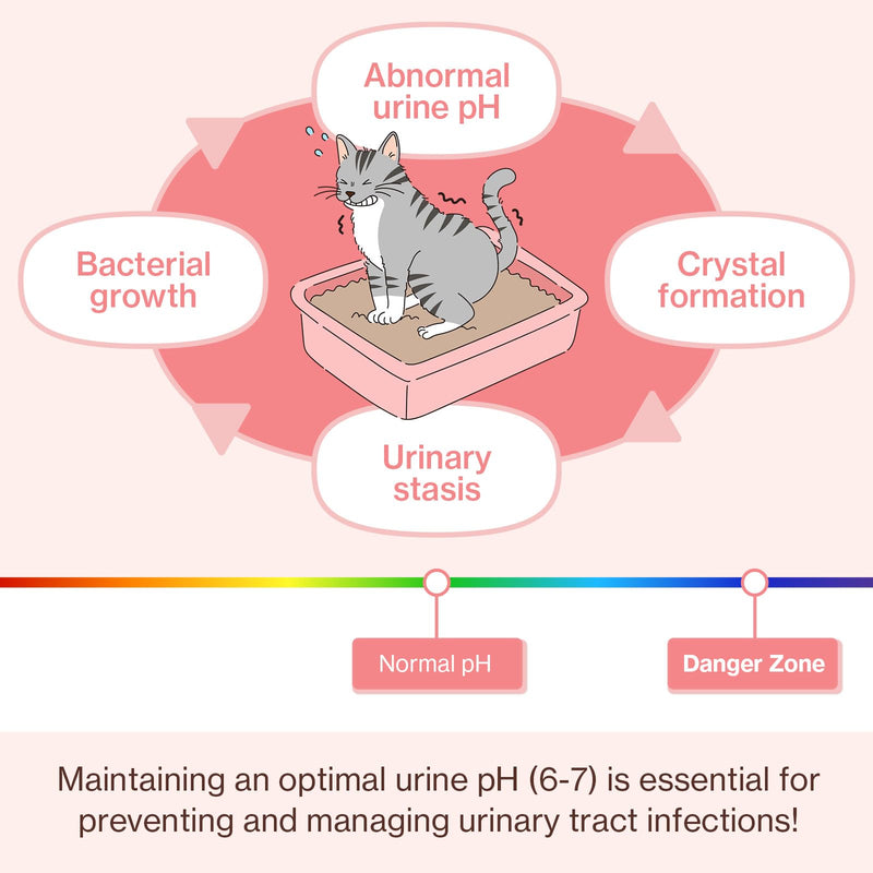 Doctor By UT Care Cat UTI Kidney Support Urinary Supplement Cranberry Treatment for Cats Renal Health with Pacran, Quercetin, Taurine lickable Formula Individually Packaged (1 Pack) 1 Pack