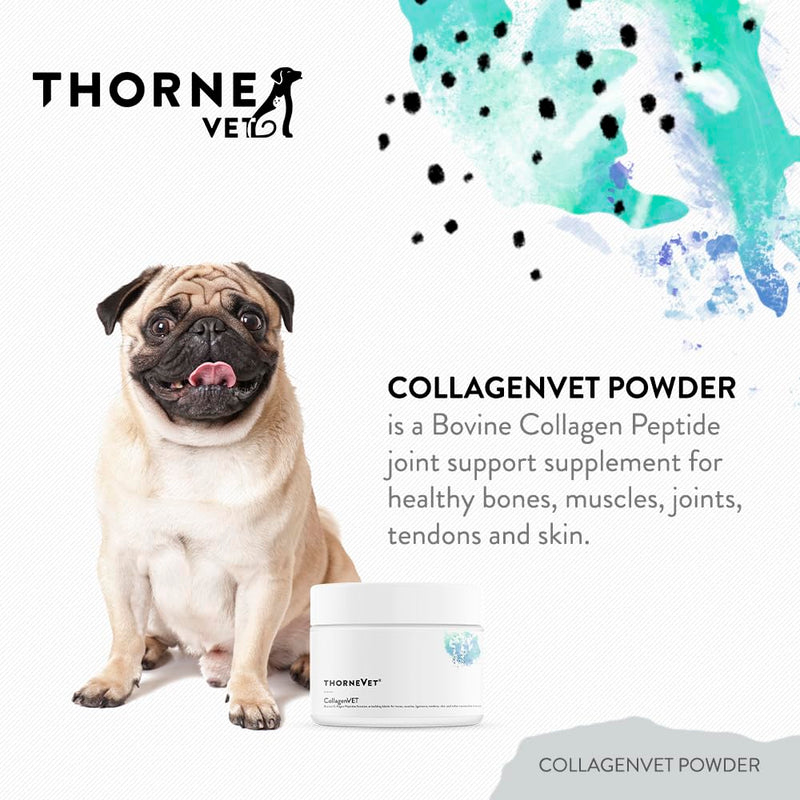 ThorneVet CollagenVET Collagen Powder for Pets - Bovine Collagen Peptide Joint Support Supplement for Healthy Joints, Muscles, Bones, Tendons and Skin - Highly Bioavailable and Digestible - 75 Scoops - PawsPlanet Australia