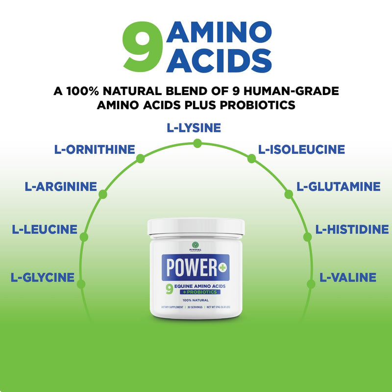 Power+ Horse Supplement (174g/0.38lbs - 30 Servings) - 9 Equine Amino Acids Plus Probiotics for Horses - No Added Sugar, No Soy, No Fillers - Horse Joint Support Supplement - BeesActive Australia