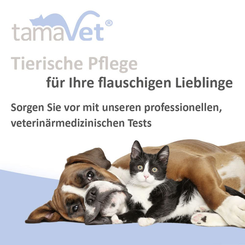 tamaVet 5X Giardia rapid test for dogs and cats - Immediate certainty about your animal's health in the event of diarrhea and intestinal parasites - For detecting Giardia antigens in animal feces 5 pieces (pack of 1) - BeesActive Australia