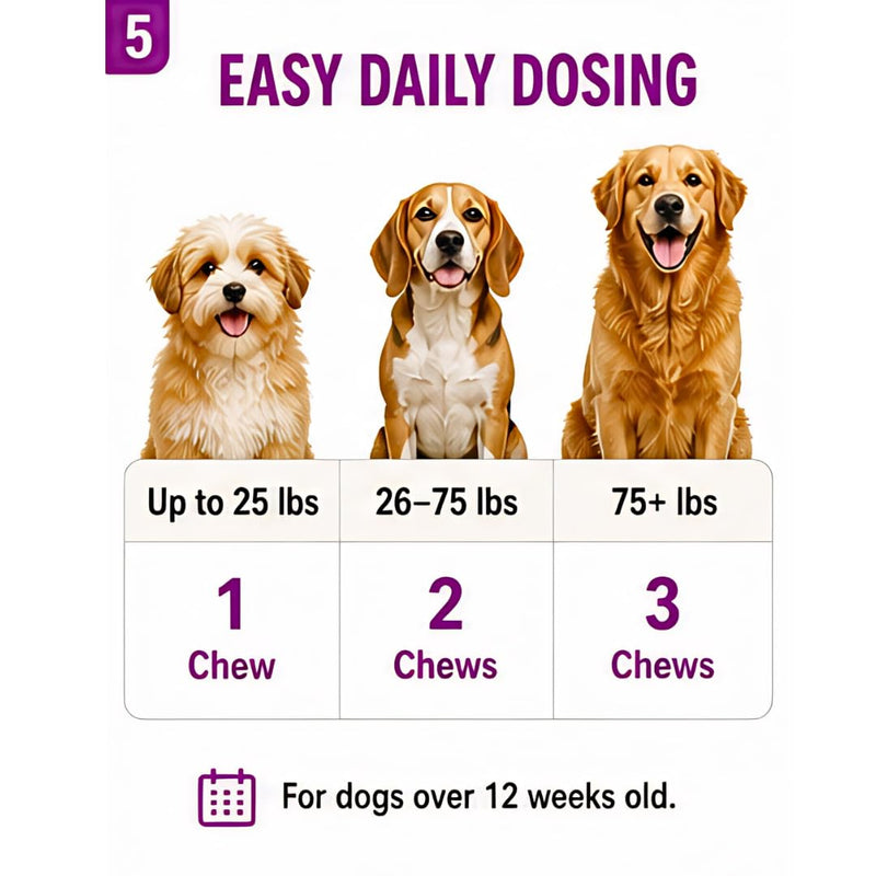 Hip & Joint Dog Chews – 6.3 oz (60 Soft Chews), Natural Beef Flavor, Glucosamine Chondroitin MSM, Collagen & Green Lipped Mussel for Joint Support, Mobility & Stiffness Relief