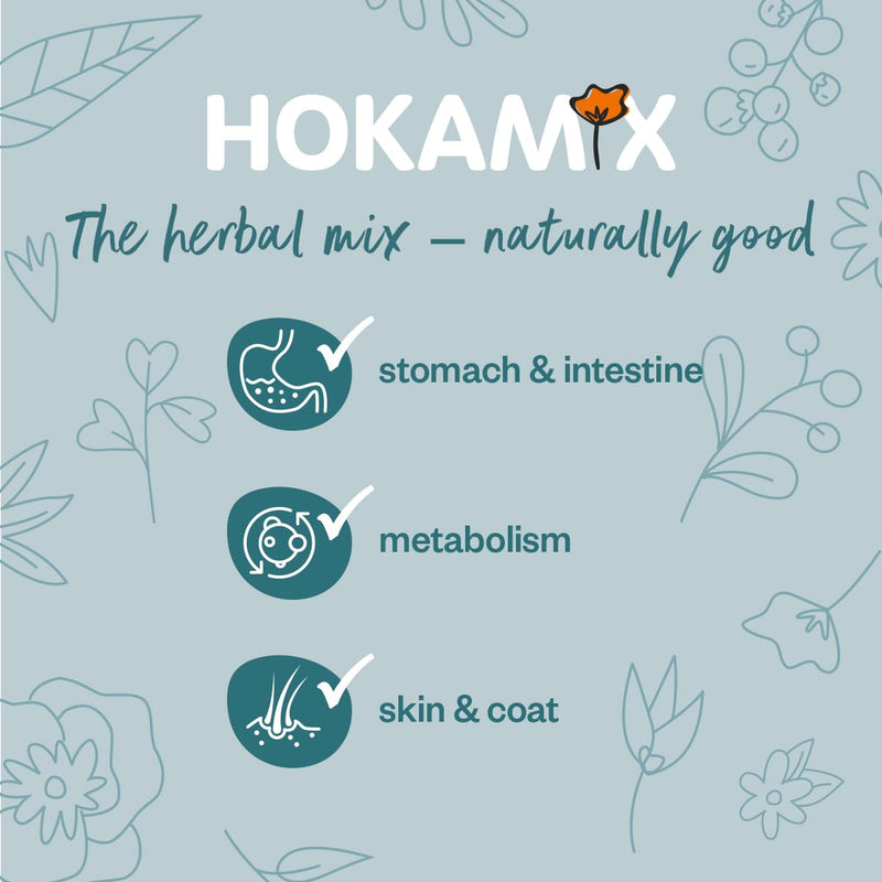 GRAU - the original - Hokamix Vitality Booster, pack of 1 (1 x 150 g), supplementary food for dogs