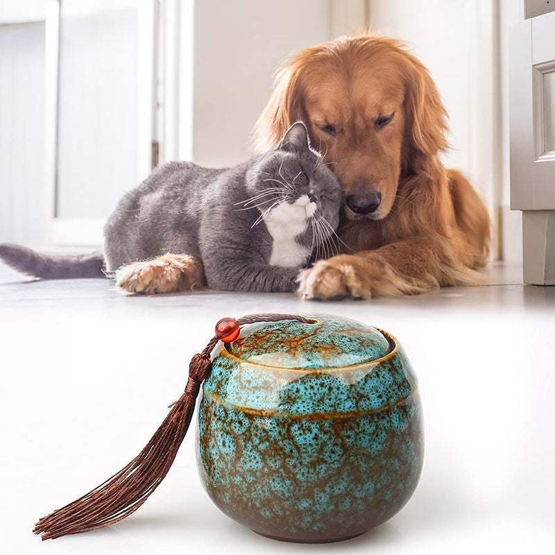 Exnemel Small Urns for Human Ashes, Mini Urn for Ashes for Adults Urns for Pets Dogs, Cat Ashes, Keepsake Funeral Urn Ash Holder (Blue) Blue - BeesActive Australia
