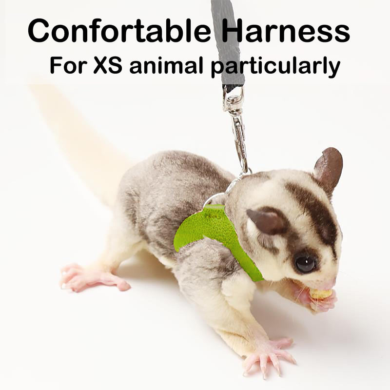 3 Pack Sugar Glider Harness and Leash Set Small Animal Training Walking Vest for Squirrel Hamster Rat-Green Green - BeesActive Australia