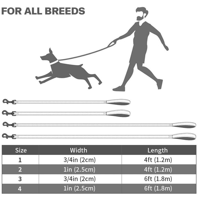 Taglory Dog Leash for Small Dogs, Double-Sided Reflective Dog Leash with Soft Neoprene Padded Handle, 3/4 inch by 4 ft, Fit Small Medium Large Breeds Dogs Under 20 lbs, Hot Pink 3/4 in x 4 ft (Pack of 1) - BeesActive Australia