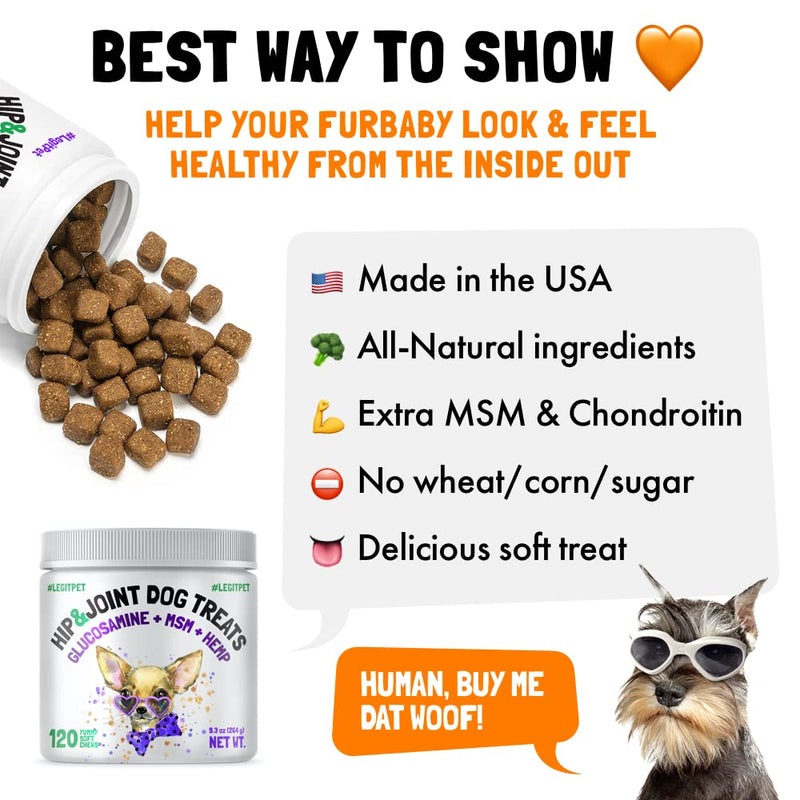 Wild Alaskan Salmon Oil for Dogs & Cats 32 oz and Hemp Hip & Joint Supplement for Dogs 120 Soft Chews