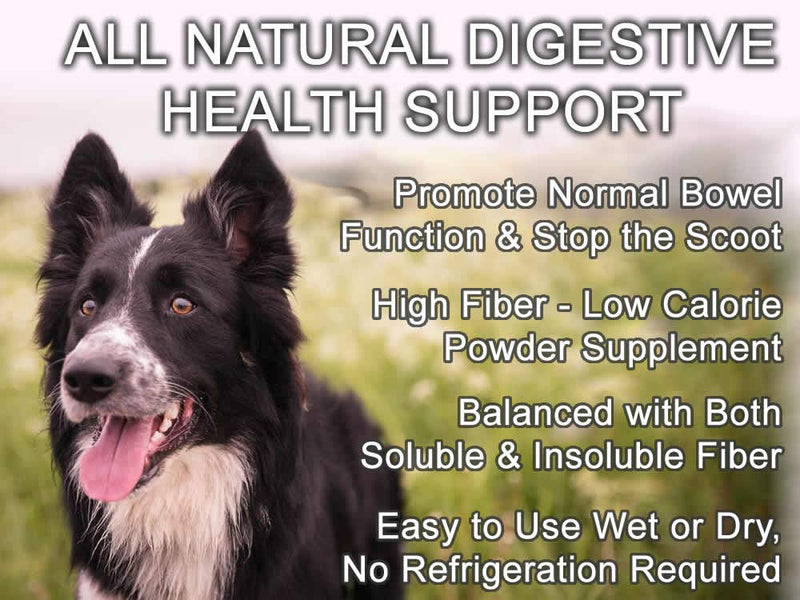 All Natural Digestion Support, Diarrhea Relief & Anal Gland Health Supplement for Dogs - Good Karma Naturals Bulk Up 100% Natural Dog Digestive Fiber Pumpkin Powder (8oz Bag) - PawsPlanet Australia