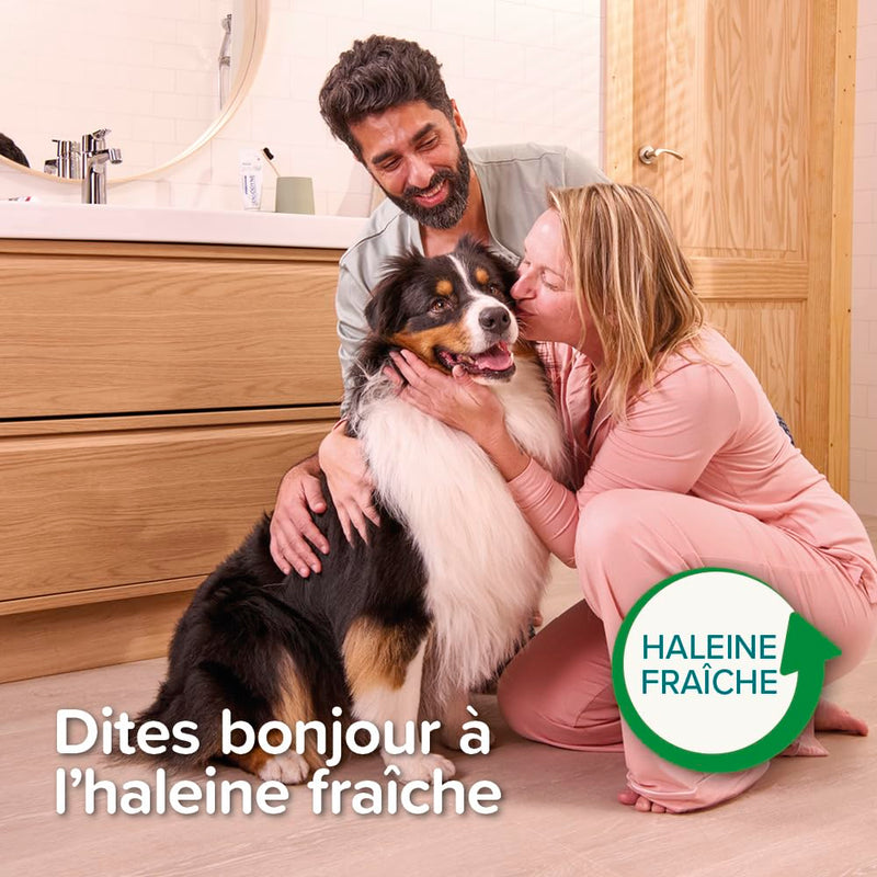 Beaphar Toothbrush Bamboo 1 piece - Double sided brush for dogs and cats