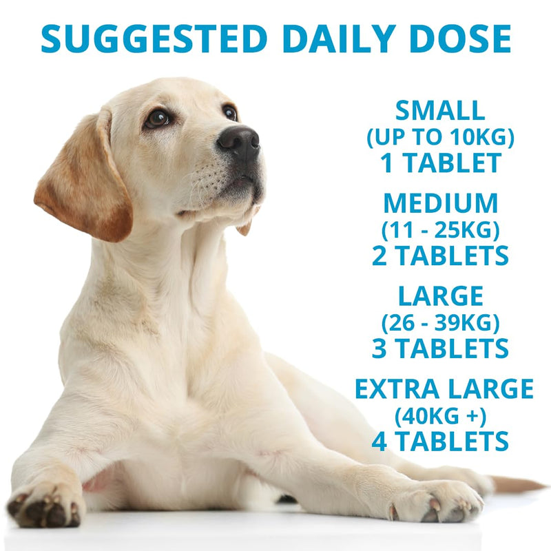 Super Supple Dog Joint Supplement - Green Lipped Mussel and Turmeric - Plant-Based - Supports Mobility and Healthy Joints