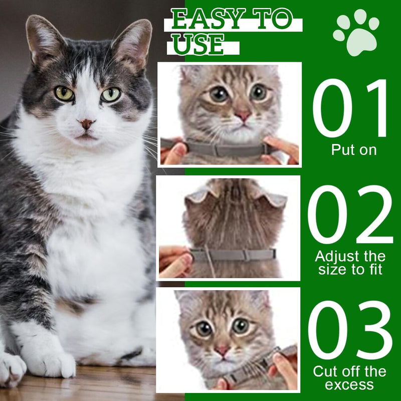 ZORTVUL Pack of 3 flea collars for cats, flea collar for dogs, small, tick flea protection collar, tick collar for cats, tick flea collar for cats, flea tick collar for dogs and cats - BeesActive Australia