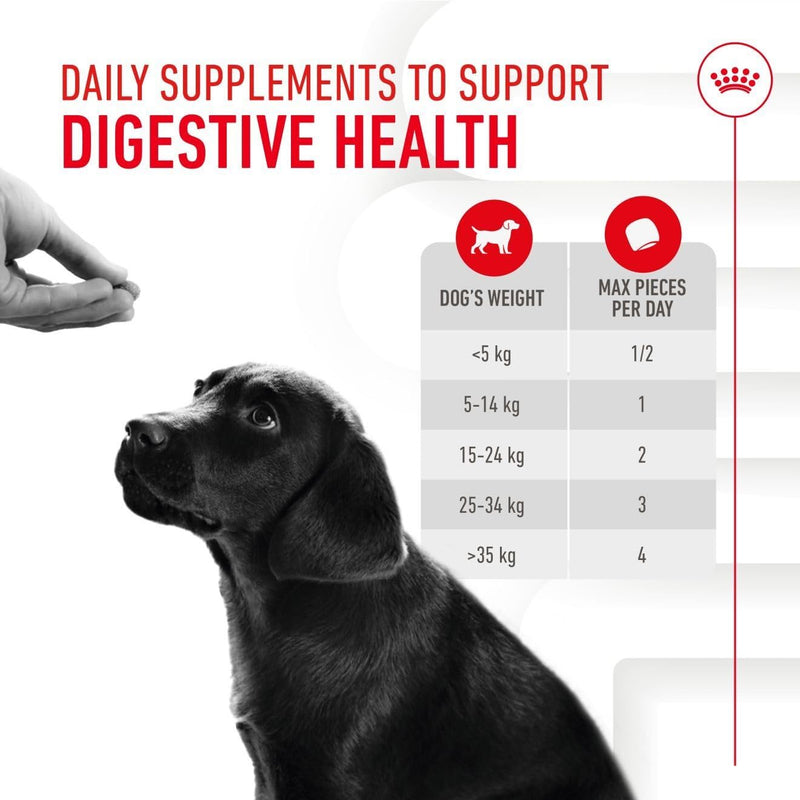 Royal Canin Puppy Supplement for Immunity & Digestion Soft Chews 100g