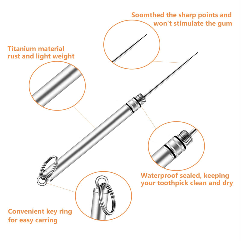 Portable Mini Titanium Toothpicks Holder, 2 Pieces Stainless Steel Metal Toothpicks Reusable Toothpick for Home Outdoor 2pcsSilver - BeesActive Australia