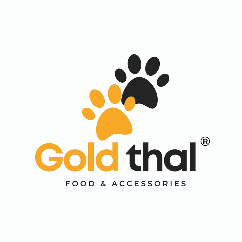 Goldthal®️ The original paw cleaner for dogs with microfiber glove, no more dirty paws for large or small paws large/large - BeesActive Australia