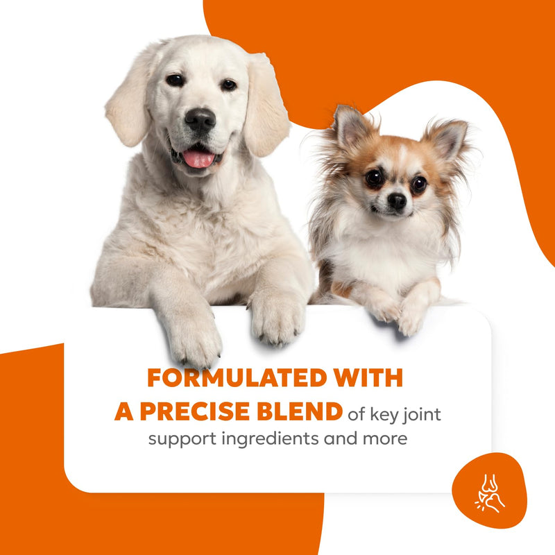 Canine Hip & Joint Soft Chews | Supplement for Dogs, Glucosamine, Collagen, Chondroitin, Turmeric Supplements, Dog Joint Health Support | 60 Chews (180g, 6.35 oz.) - PawsPlanet Australia