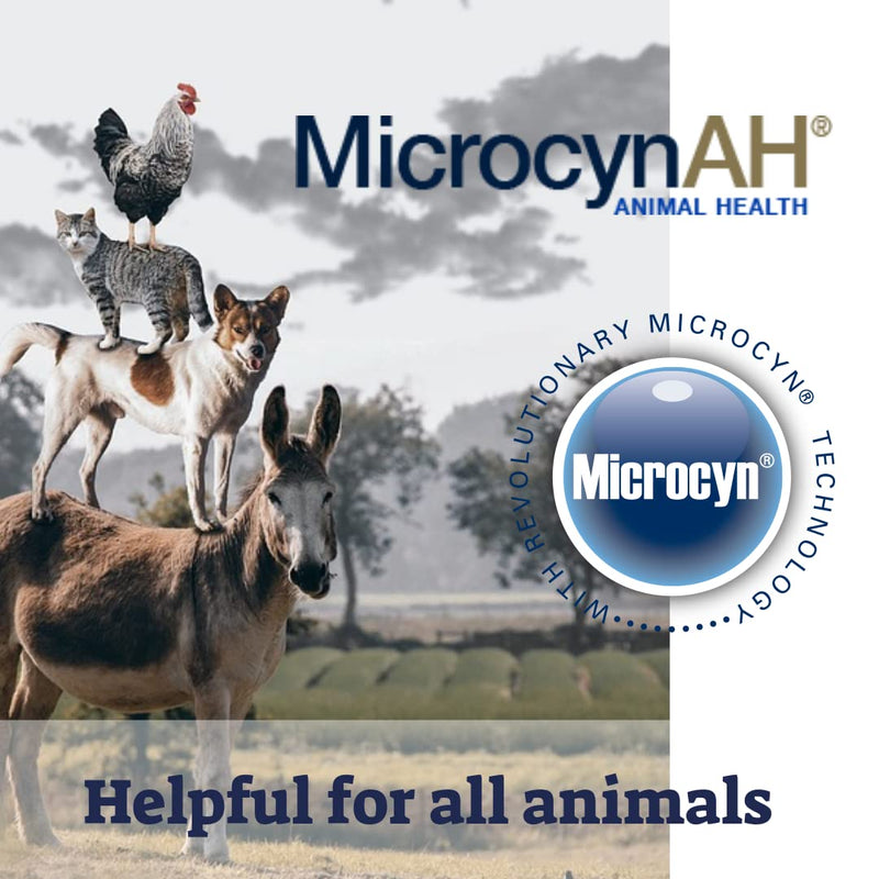 MicrocynAH Wound and Skin Care Hydrogel for Dogs | Non-Toxic Spray Formulated to Clean Wounds | Veterinarian Recommeneded Non-Toxic Formula | 8oz 8 Ounces - BeesActive Australia