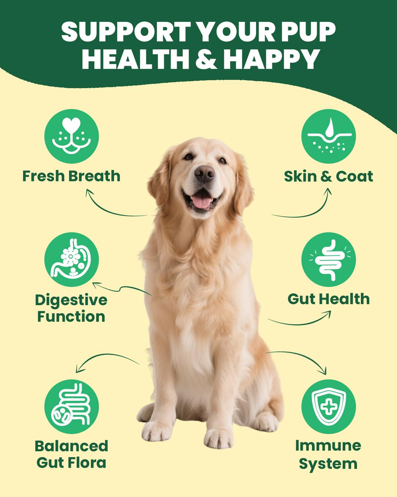 Probiotics for Dogs - Digestive Support Paste for Dogs - Digestive Care, Diarrhea, Loose Stools, Upset Stomach - Dog Gut Health Paste - Dog Probiotic with Prebiotics, Enzyme, Vitamins - Chicken Flavor